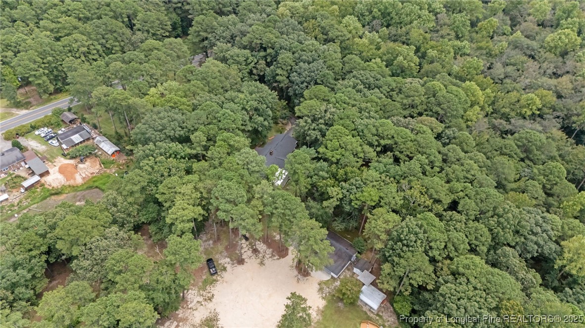 610 Maynard Lake Road Erwin, NC 28339 - Photo 8 of 49 view of a forest with a houses