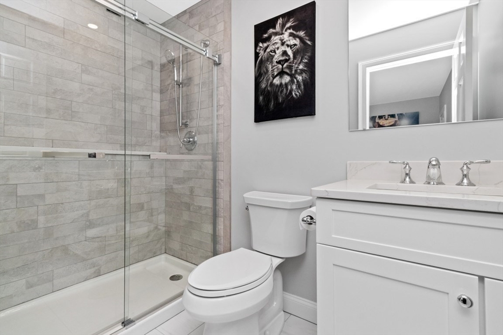 20 College Farm Road Waltham, MA 02451 - Photo 20 of 32 a bathroom with a toilet sink and shower