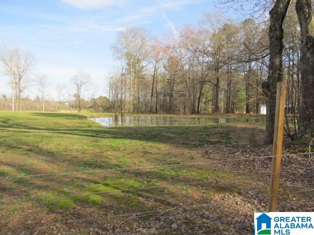 602 River Bend Road Altoona, AL 35952 - Photo 27 of 29