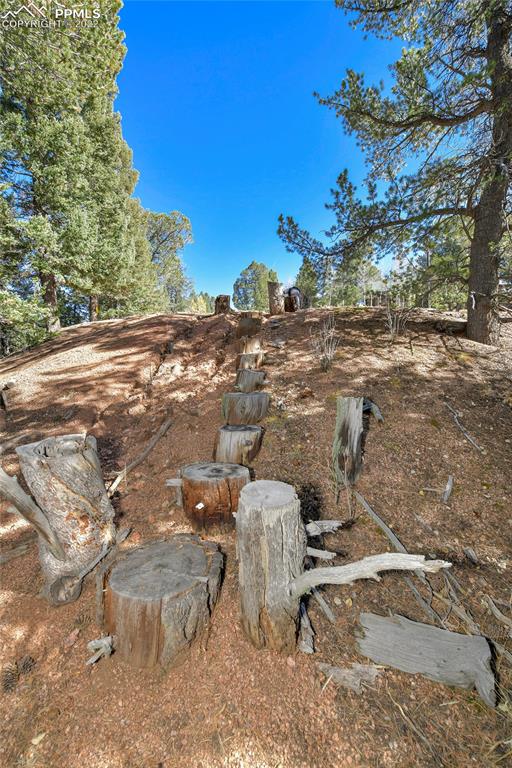 593 Paradiso Road Divide, CO 80814 - Photo 13 of 31 a view of a backyard of a house