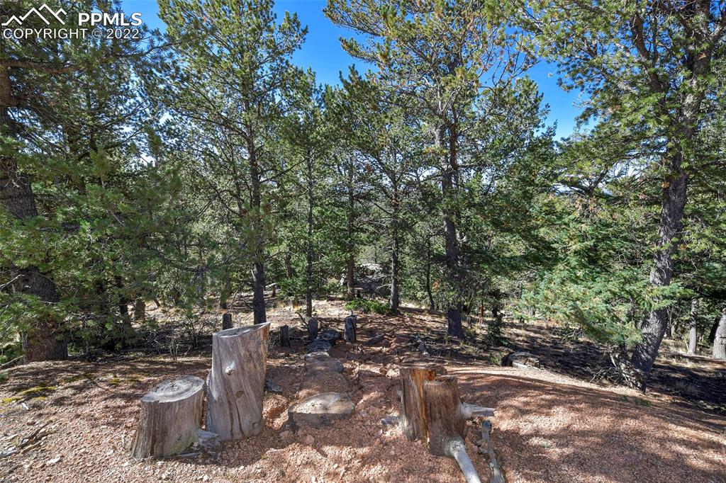 593 Paradiso Road Divide, CO 80814 - Photo 14 of 31 a view of a water with fountain in front of it