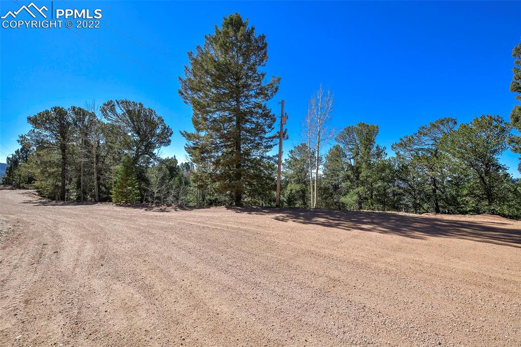 593 Paradiso Road Divide, CO 80814 - Photo 15 of 31 a view of a yard with a tree
