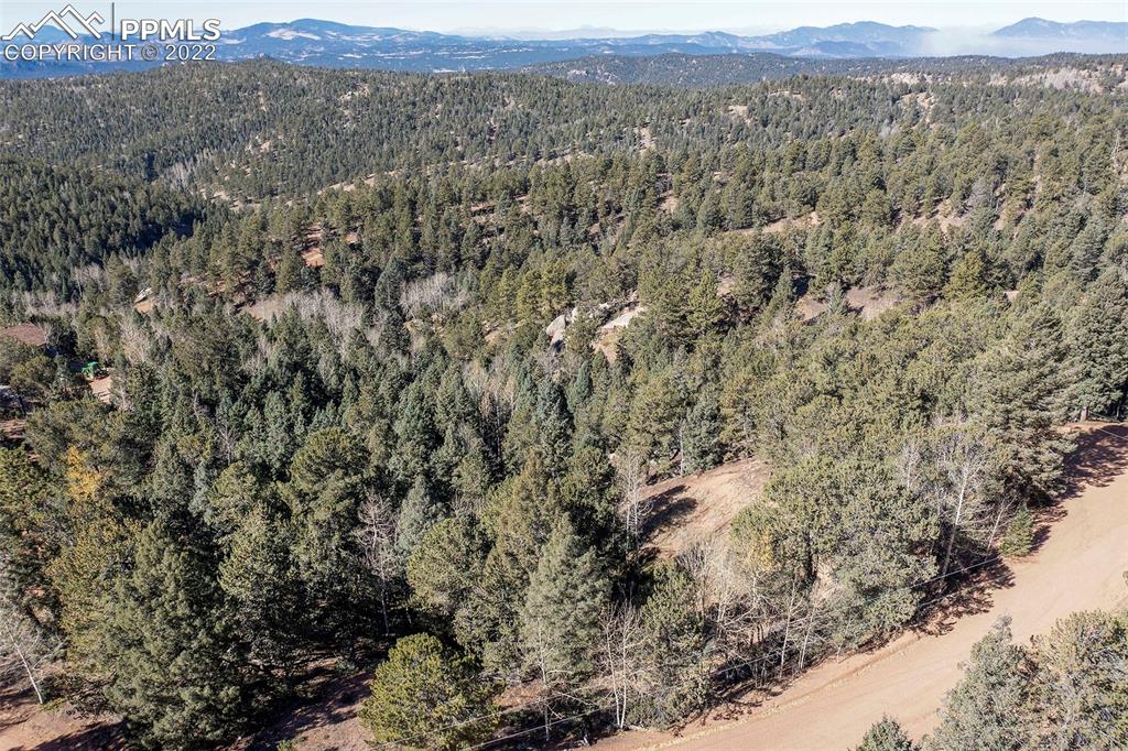 593 Paradiso Road Divide, CO 80814 - Photo 18 of 31 a view of a mountain in the distance