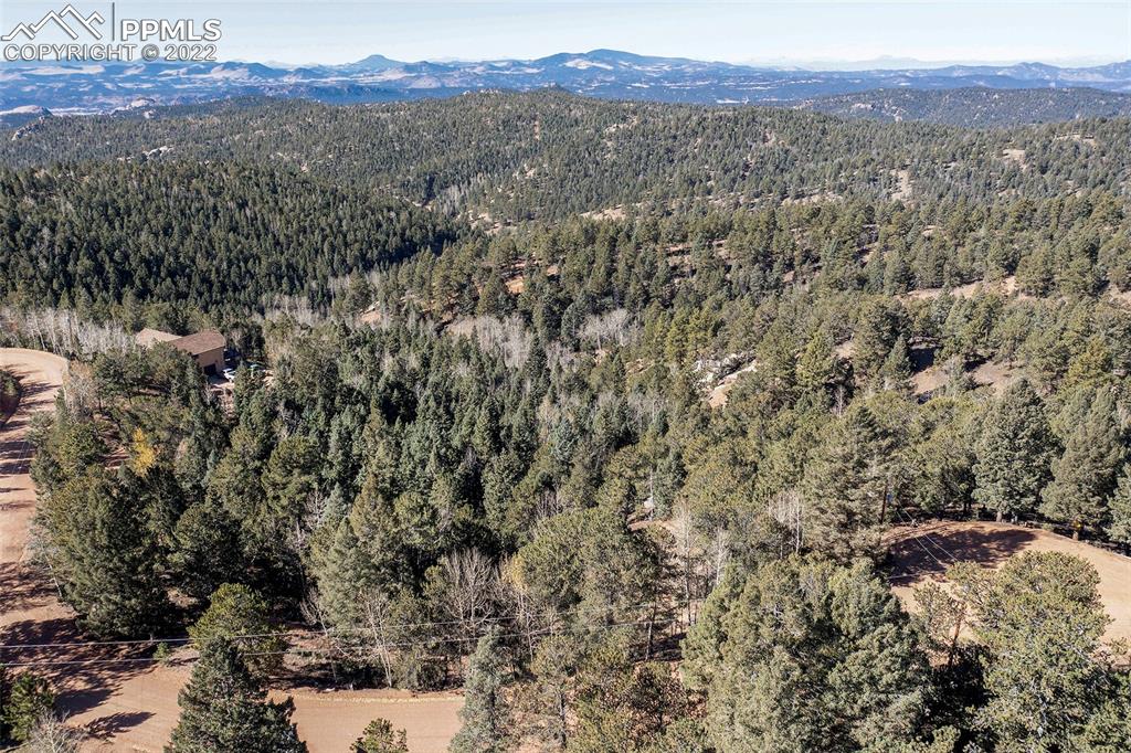 593 Paradiso Road Divide, CO 80814 - Photo 19 of 31