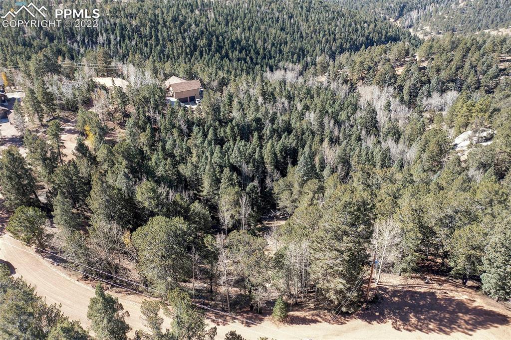 593 Paradiso Road Divide, CO 80814 - Photo 20 of 31 a close up of a tree in a yard