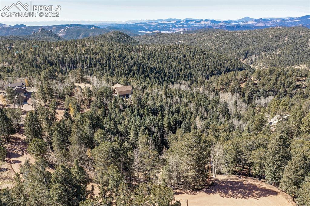 593 Paradiso Road Divide, CO 80814 - Photo 21 of 31 a view of a forest with a tree in the background