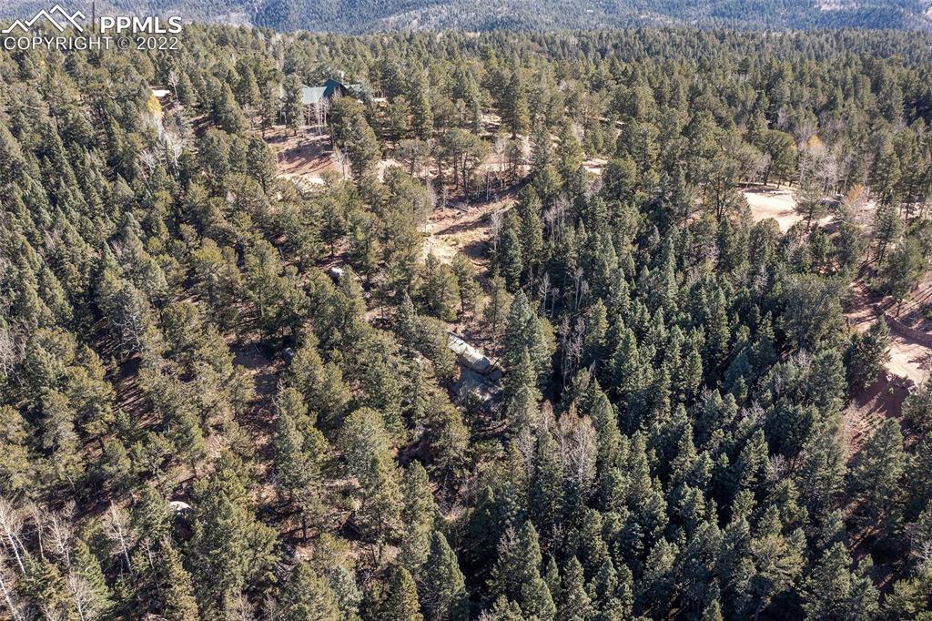 593 Paradiso Road Divide, CO 80814 - Photo 22 of 31 a view of a yard of a house