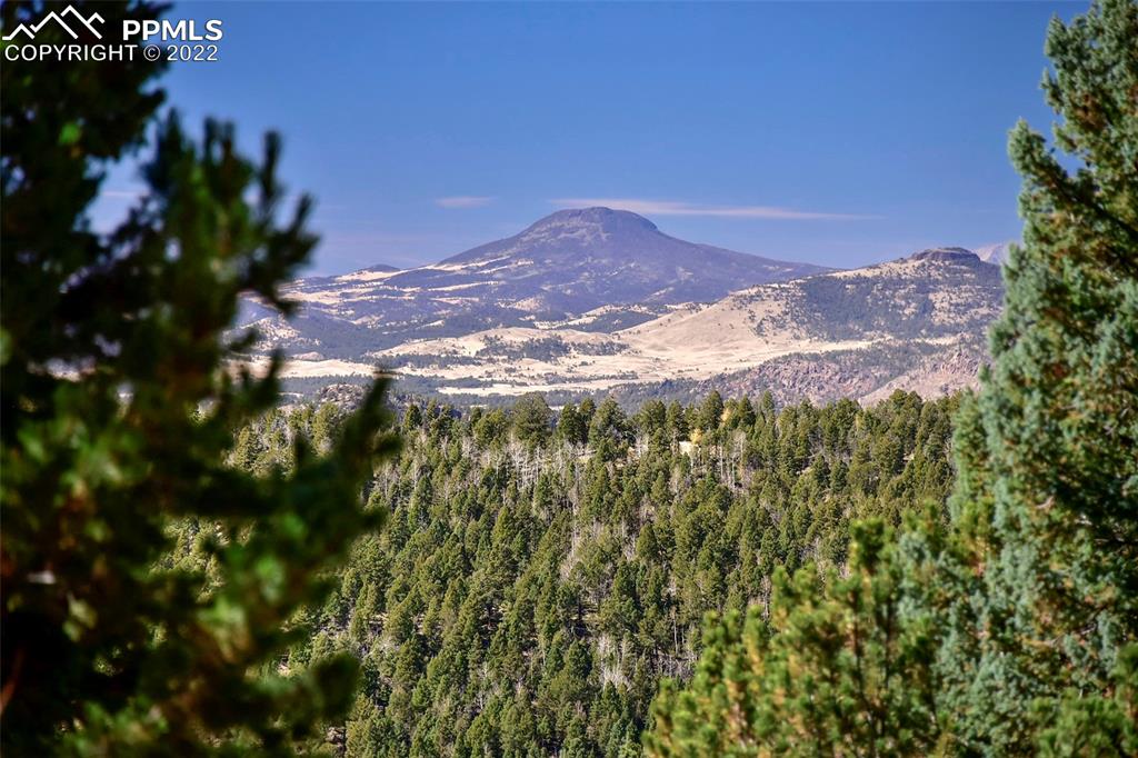 593 Paradiso Road Divide, CO 80814 - Photo 24 of 31 a view of a yard