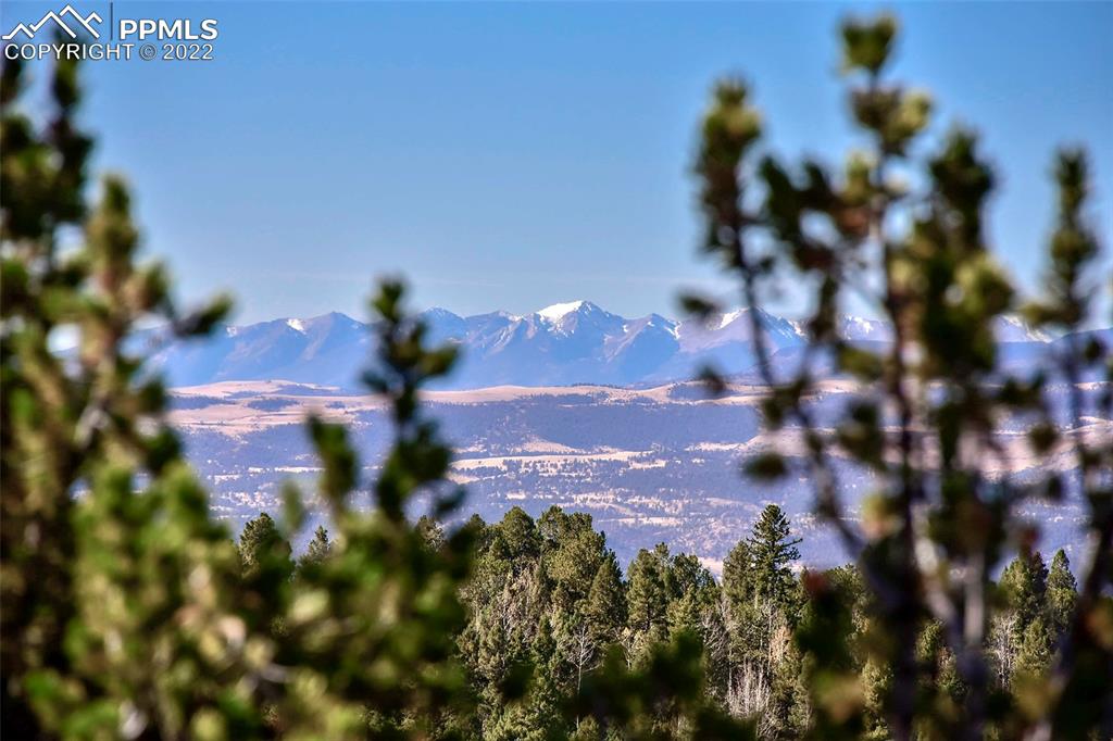 593 Paradiso Road Divide, CO 80814 - Photo 27 of 31 a view of a tree