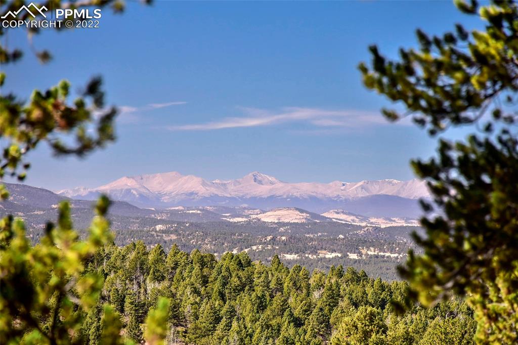 593 Paradiso Road Divide, CO 80814 - Photo 28 of 31 a view of a flower