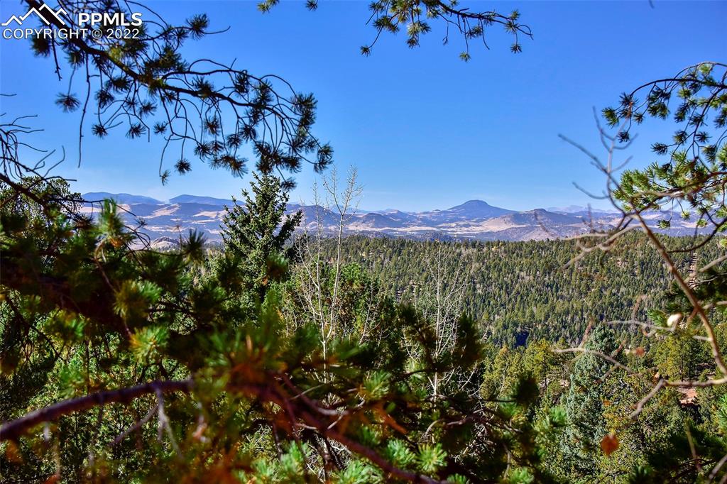 593 Paradiso Road Divide, CO 80814 - Photo 30 of 31 a view of a large tree
