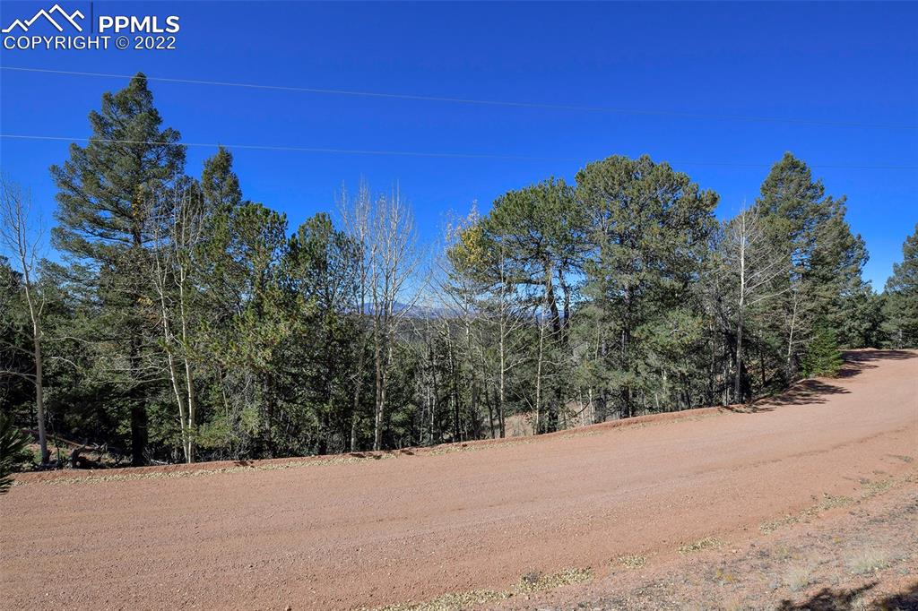 593 Paradiso Road Divide, CO 80814 - Photo 3 of 31 a view of a road with a building in the background