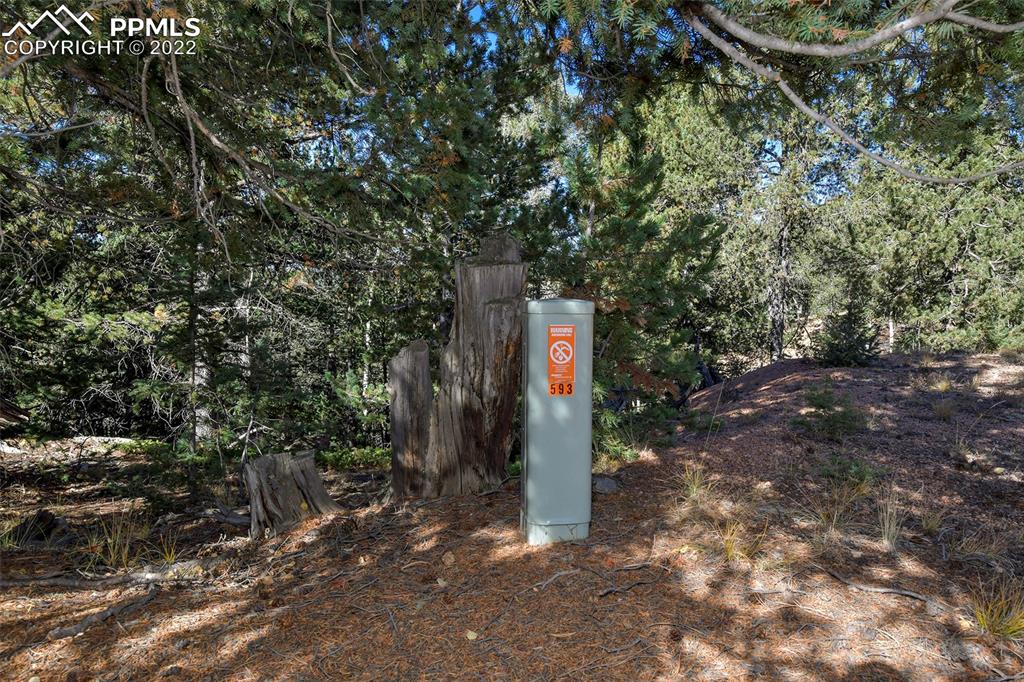593 Paradiso Road Divide, CO 80814 - Photo 4 of 31 a flag is sitting in the middle of a forest