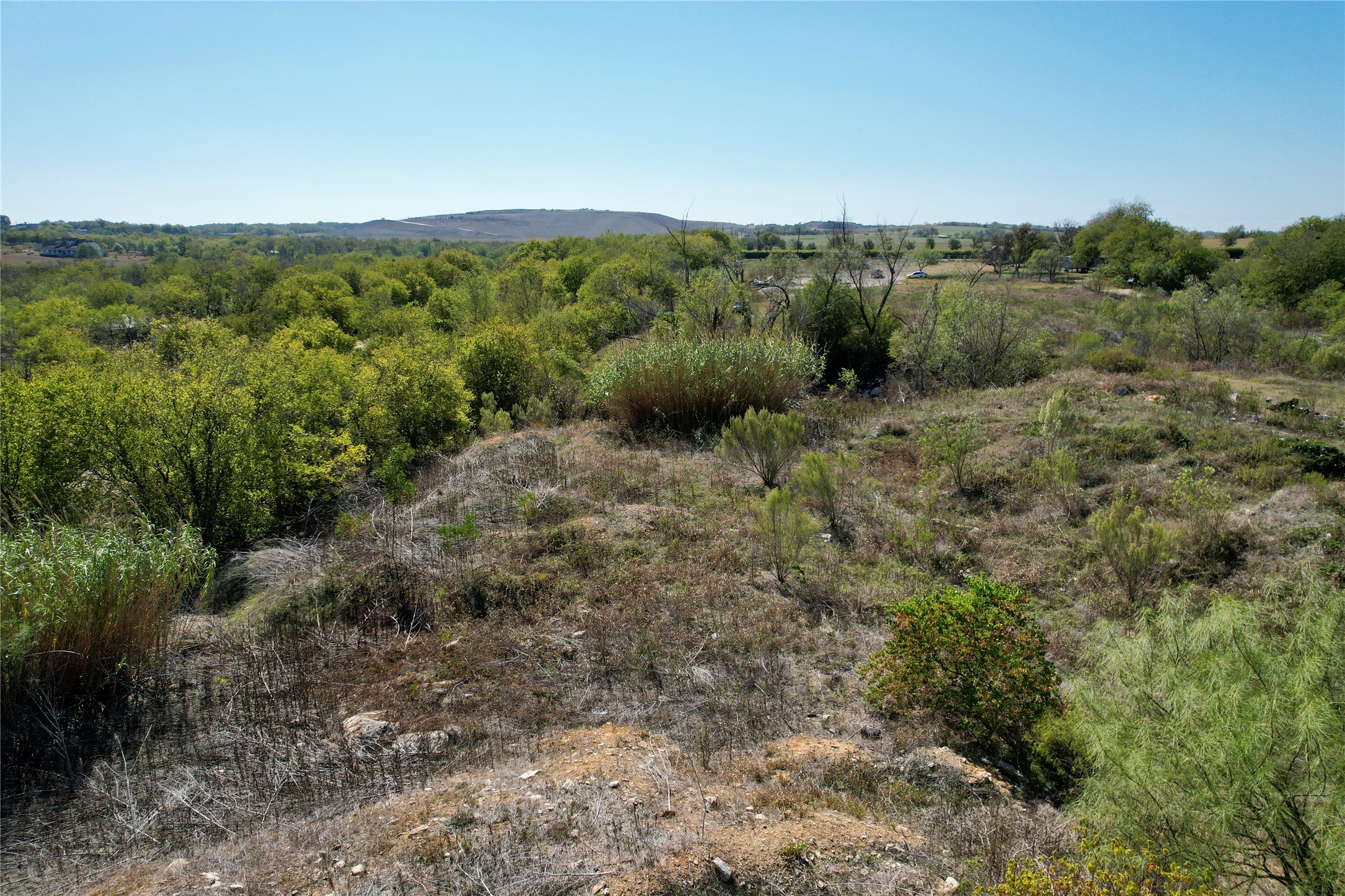 10823 Old Lockhart Road Austin, TX 78747 - Photo 11 of 20 a view of a green field with lots of bushes