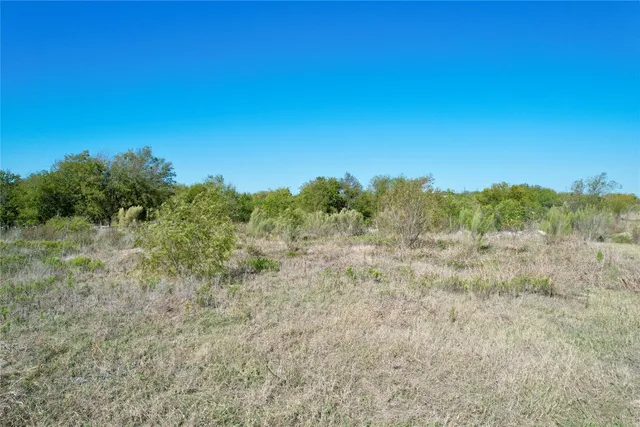 a view of a yard with an trees
