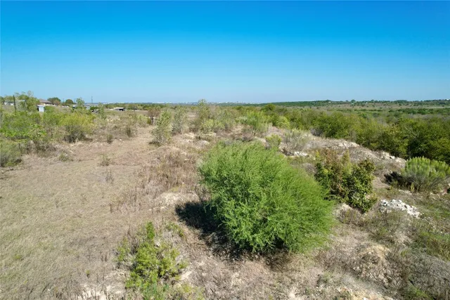 a view of a green field with lots of bushes