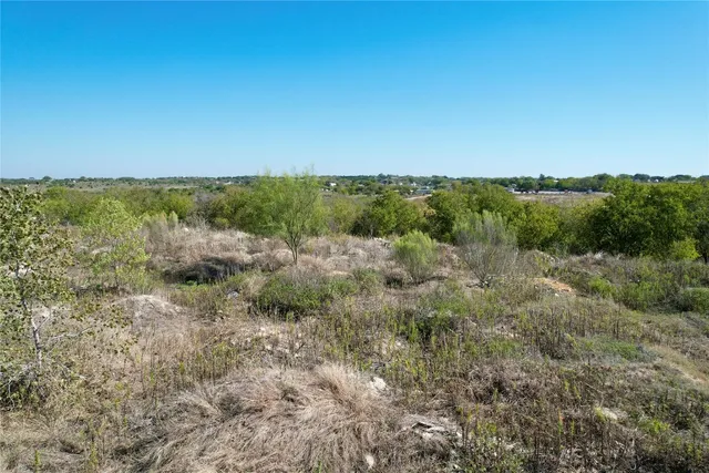 a view of a forest with trees in the background