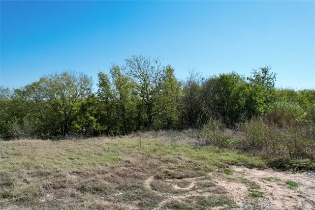 a view of a green field with lots of bushes