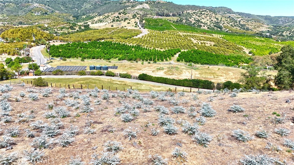 1 El Calamar Road Temecula, CA 92590 - Photo 13 of 16 a view of a yard with an trees