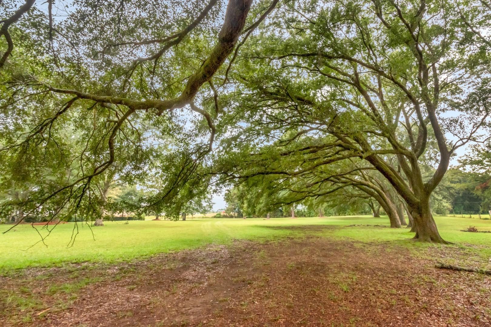 19108 Rada Road Silverhill, AL 36576 - Photo 5 of 11 Yard