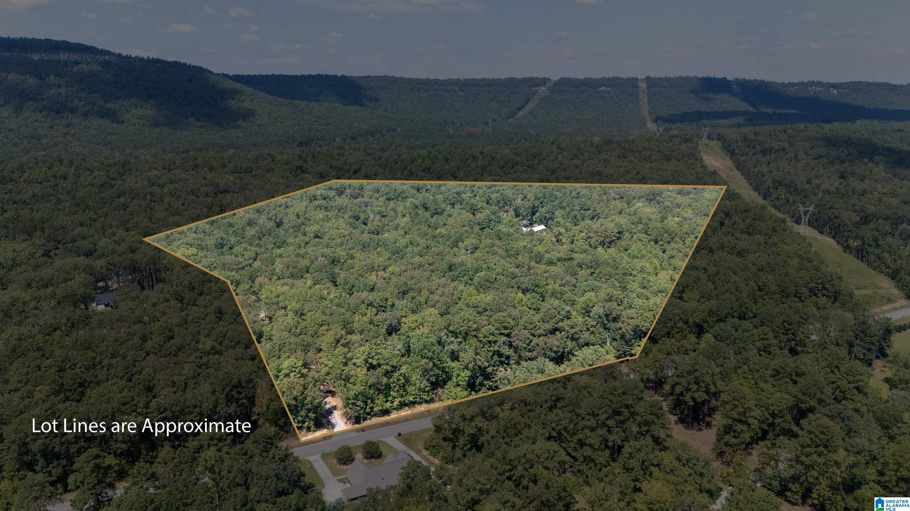 9215 Bear Creek Road Sterrett, AL 35147 - Photo 88 of 99