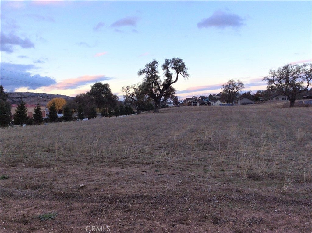 1320 Fire Rock Loop Templeton, CA 93465 - Photo 6 of 13 a view of a dry yard with trees