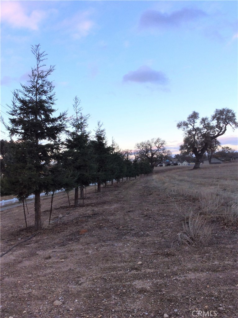 1320 Fire Rock Loop Templeton, CA 93465 - Photo 7 of 13 a view of a yard with wooden fence