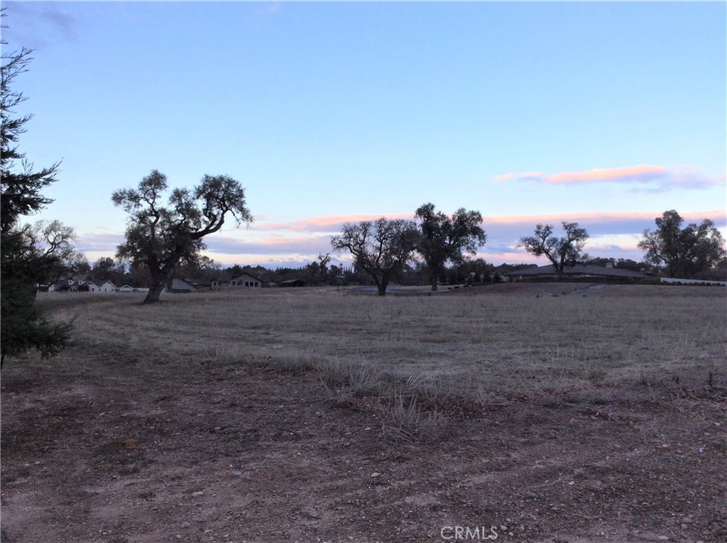1320 Fire Rock Loop Templeton, CA 93465 - Photo 9 of 13 a view of a field