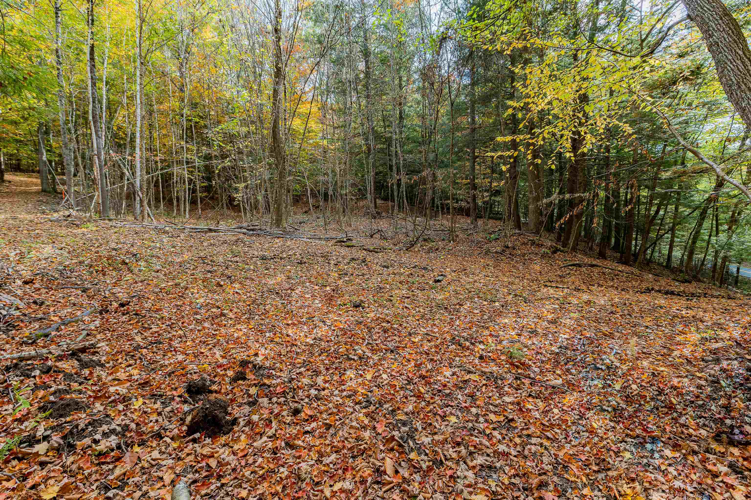 62 Stevens Road Hanover, NH 03755 - Photo 10 of 17