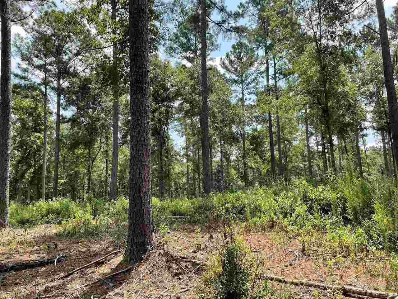 0 Indian Creek Road, Unit 2 Good Hope, GA 30641 - Photo 1 of 1
