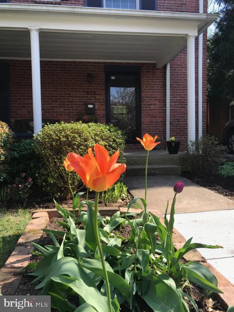 503 Wingate Road Baltimore, MD 21210 - Photo 3 of 46