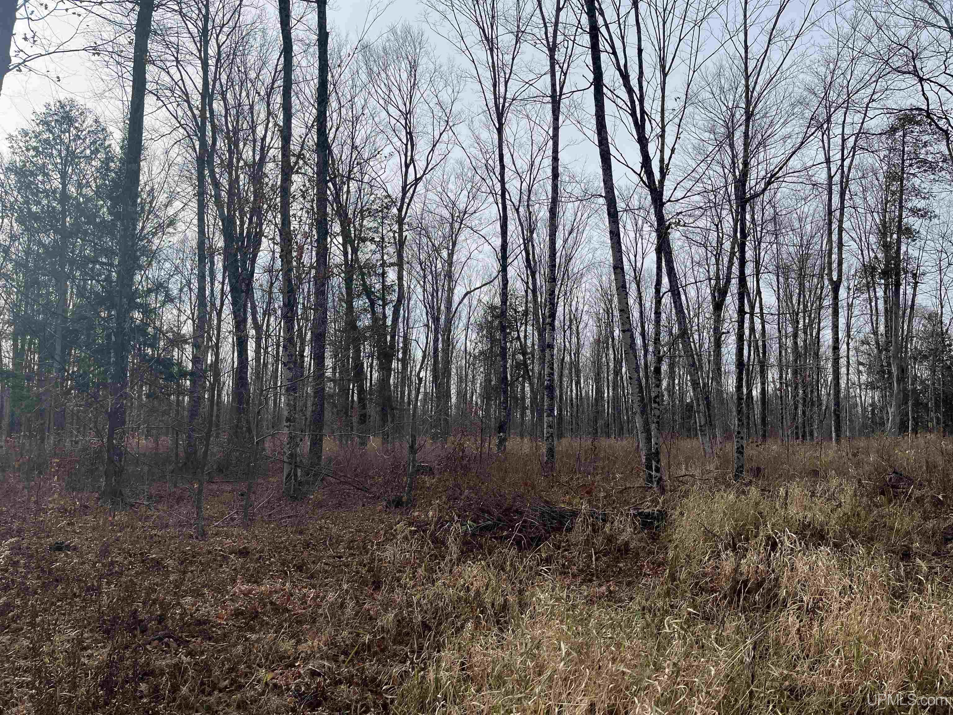 120-acres Off County Sk Road Cornell, MI 49818 - Photo 35 of 40