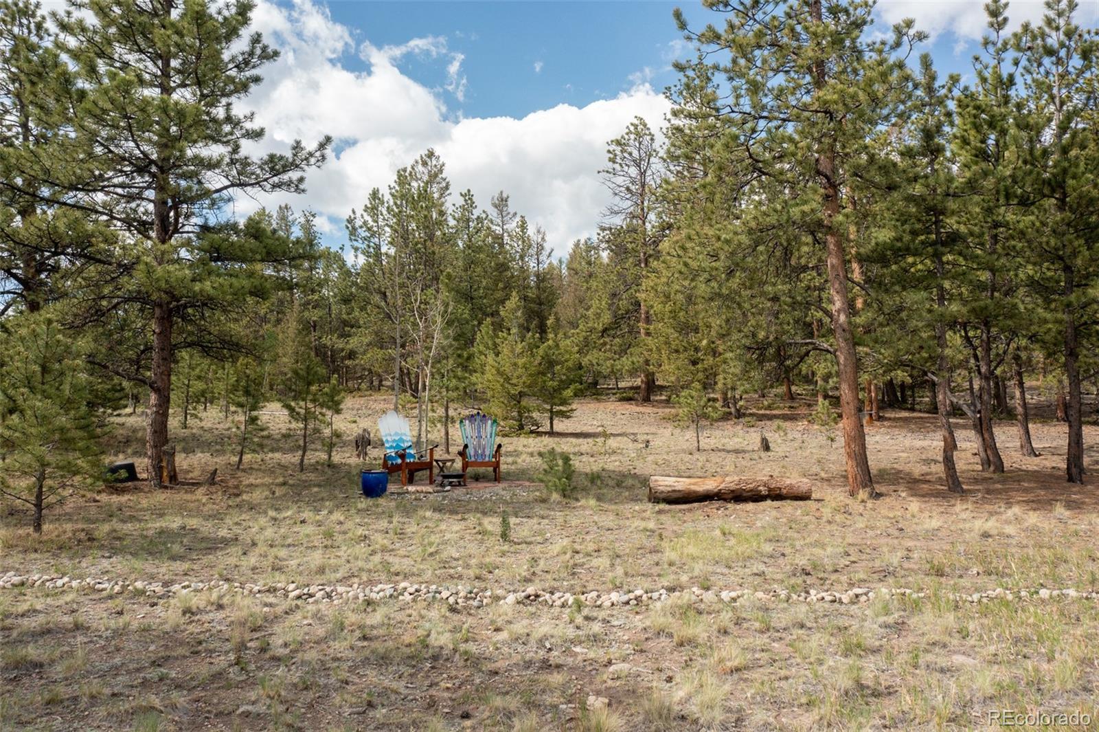 730 Lariat Loop Hartsel, CO 80449 - Photo 40 of 50