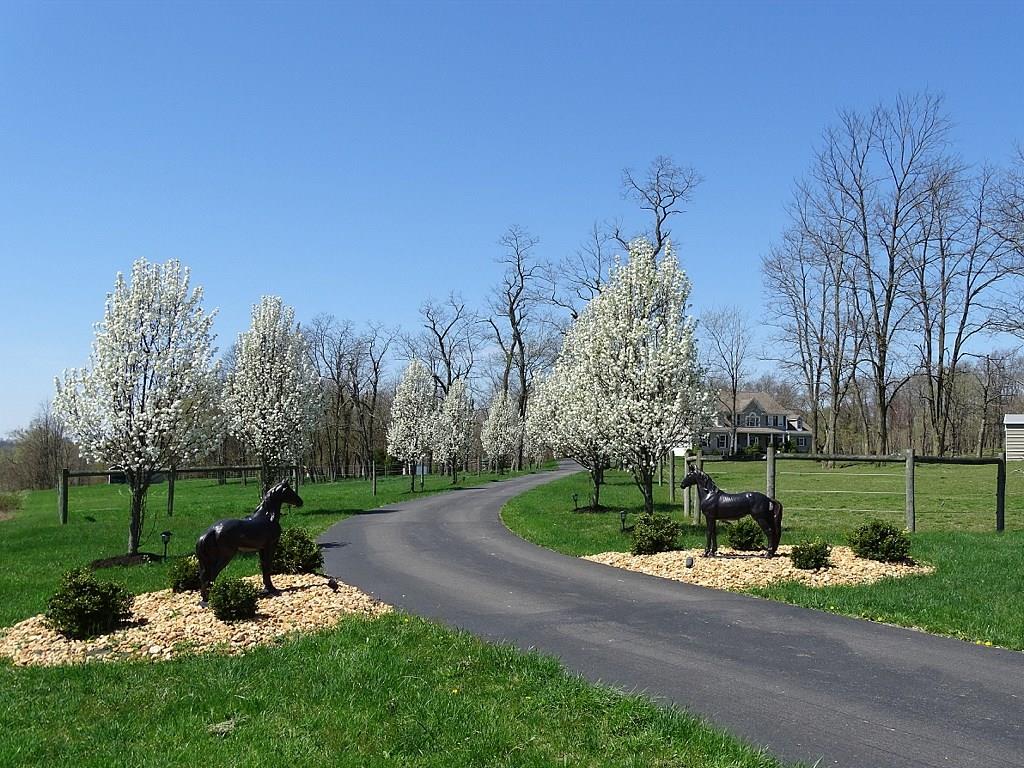 75 Galati Road McDonald, PA 15057 - Photo 2 of 25 Winding asphalt driveway leads to the amazing property (horse statues are excluded)