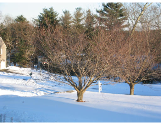 3 Walnut Hill Road Millis, MA 02054 - Photo 6 of 7 Gallery Image 6