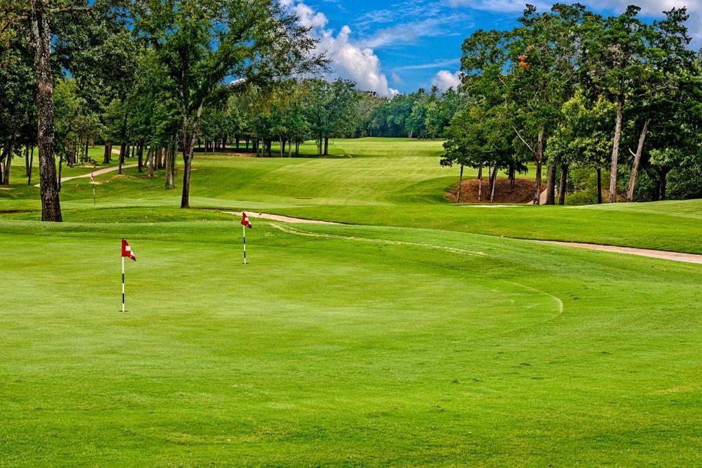 125 Shadow Crk Road Gordonville, TX 76245 - Photo 3 of 35 a view of a golf course
