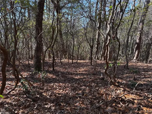 $59,900 | Lot 27 Bobcat Mountain Road, Purlear, NC 28665