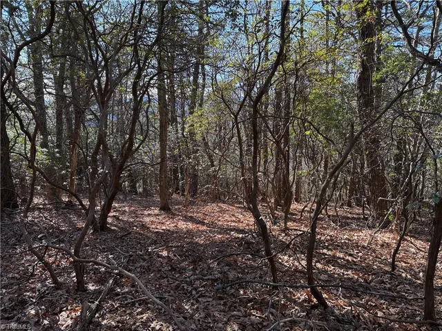 $59,900 | Lot 27 Bobcat Mountain Road, Purlear, NC 28665