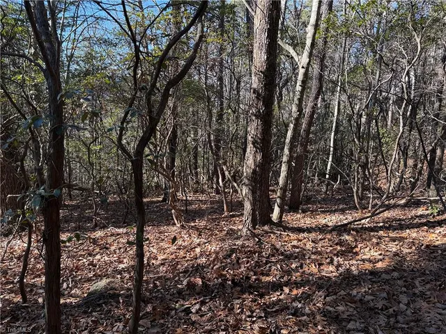 $59,900 | Lot 27 Bobcat Mountain Road, Purlear, NC 28665