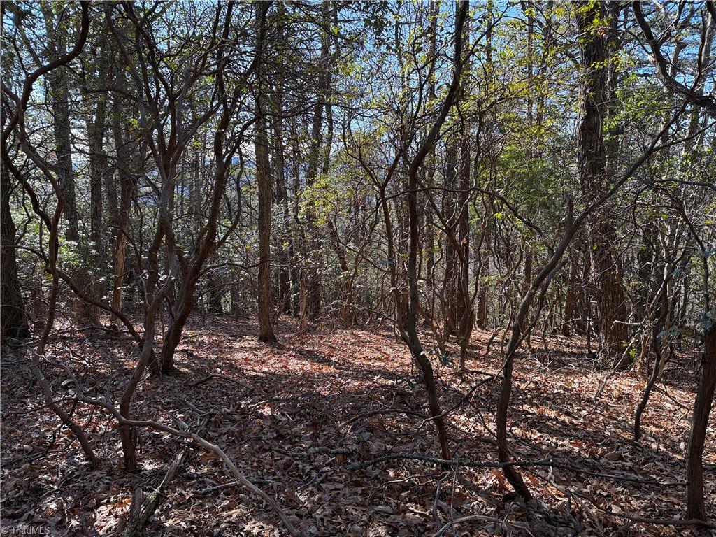 Lot 27 Bobcat Mountain Road Purlear, NC 28665 - Photo 12 of 38
