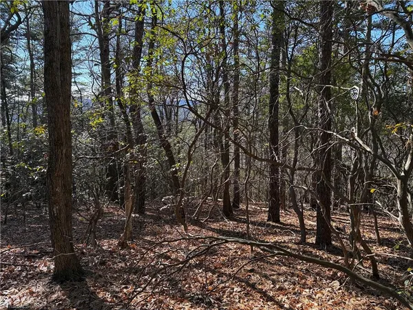 $59,900 | Lot 27 Bobcat Mountain Road, Purlear, NC 28665