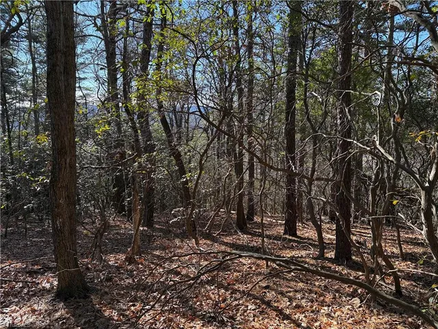 $59,900 | Lot 27 Bobcat Mountain Road, Purlear, NC 28665