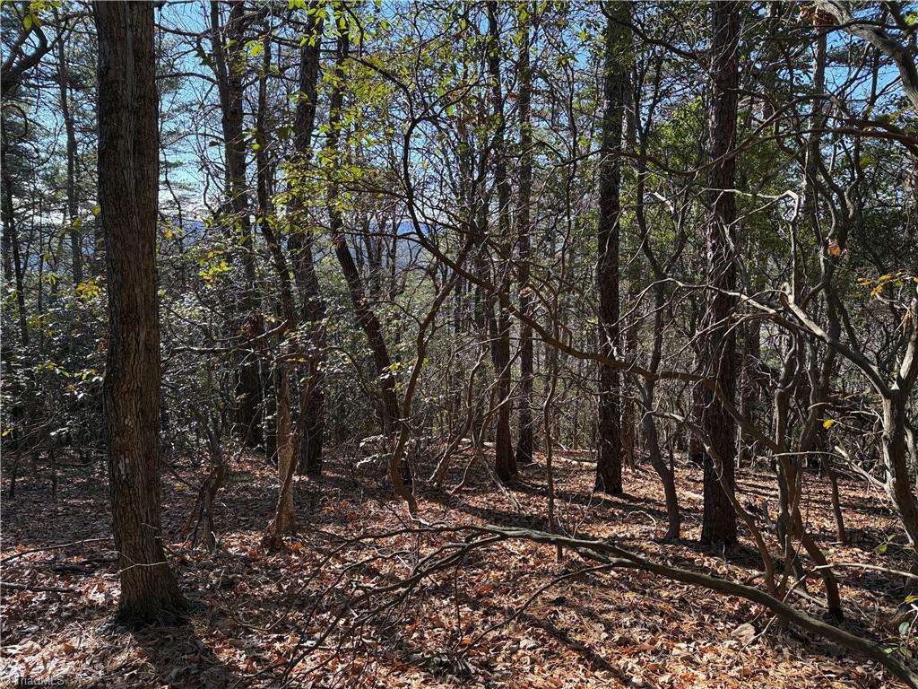 Lot 27 Bobcat Mountain Road Purlear, NC 28665 - Photo 14 of 38