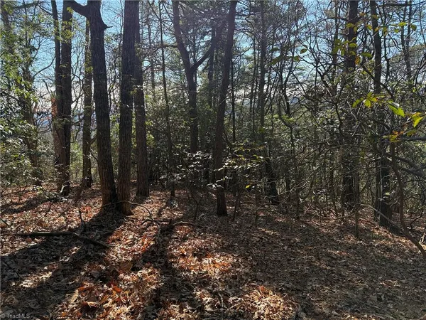 $59,900 | Lot 27 Bobcat Mountain Road, Purlear, NC 28665
