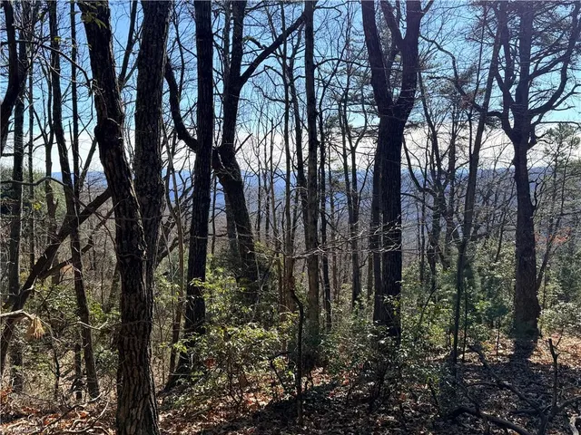 $59,900 | Lot 27 Bobcat Mountain Road, Purlear, NC 28665
