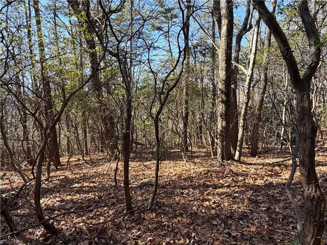 $59,900 | Lot 27 Bobcat Mountain Road, Purlear, NC 28665