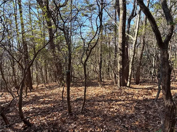 $59,900 | Lot 27 Bobcat Mountain Road, Purlear, NC 28665