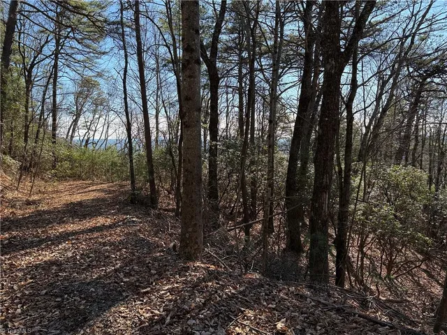 $59,900 | Lot 27 Bobcat Mountain Road, Purlear, NC 28665