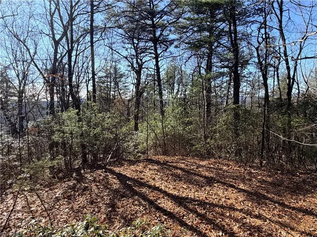 $59,900 | Lot 27 Bobcat Mountain Road, Purlear, NC 28665