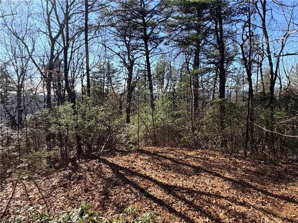 $59,900 | Lot 27 Bobcat Mountain Road, Purlear, NC 28665